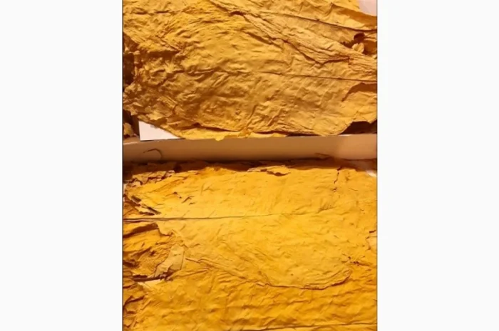 Продам Табак по лучшей цене для сигарет 1 кг ! Растаможен! Включая акцизы и сборы- фото № 3