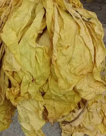 Продам Табак по лучшей цене для сигарет 1 кг ! Растаможен! Включая акцизы и сборы- фото № 4