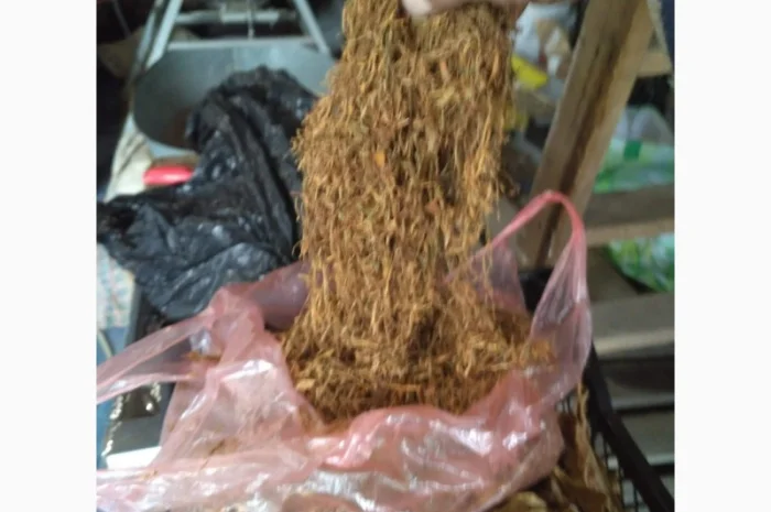 Продам різаний тютюн, сорт Вірджинія,  для самокруток- фото № 1