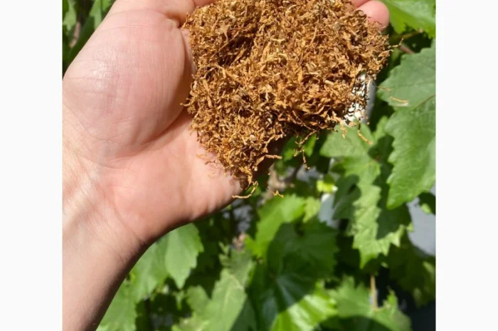 Імпортний Тютюн! Герцеговина, Теннессі, Ізмір, Дюбек, Басма, Вірджинія голд, Гавана, Ява, для сигарет 1 кг- фото № 2