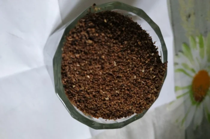 Семена махорки- фото № 3