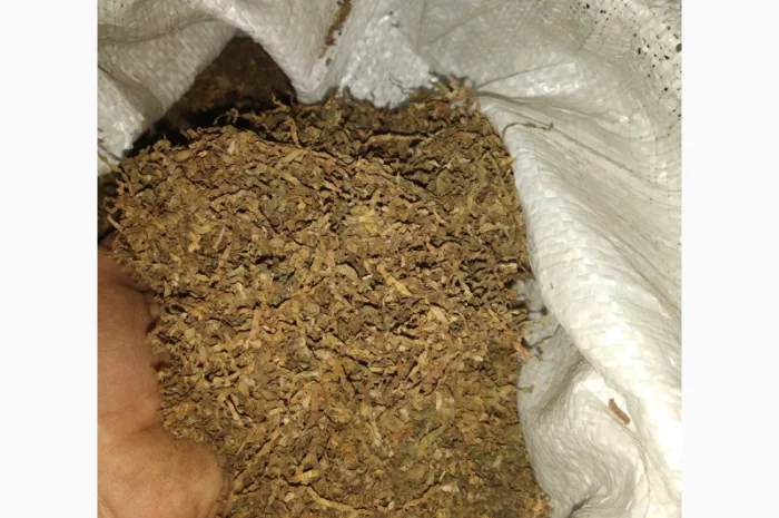 Настоящий табак фабричный- фото № 3