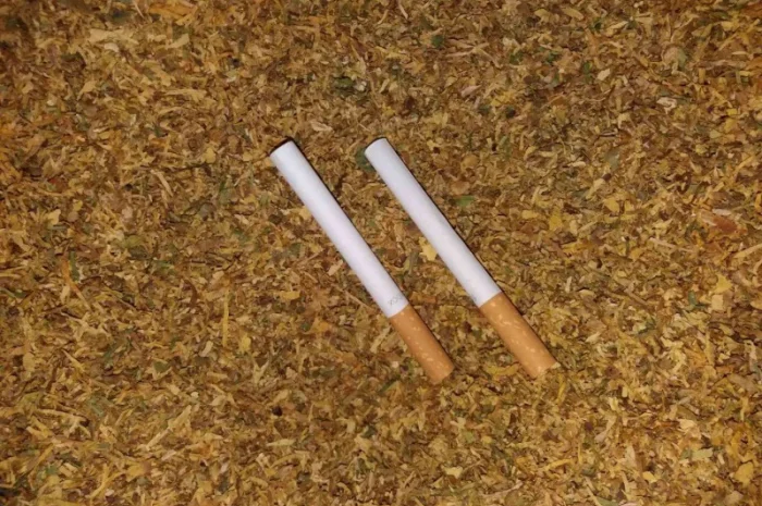 Табак лапша для самокруток- фото № 2