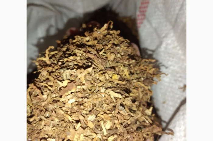 Вирджиния для сигарет 1 кг - основный сорт в составе сигарет- фото № 2