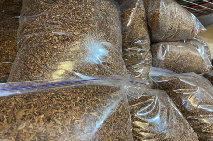 Імпортний табак. БЕРЛІ Вірджинія, Золоте руно, самосад- фото № 2