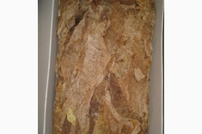 Семена табака Дукат Крымский. Насіння тютюну Дукат Кримський , для самокруток- фото № 2