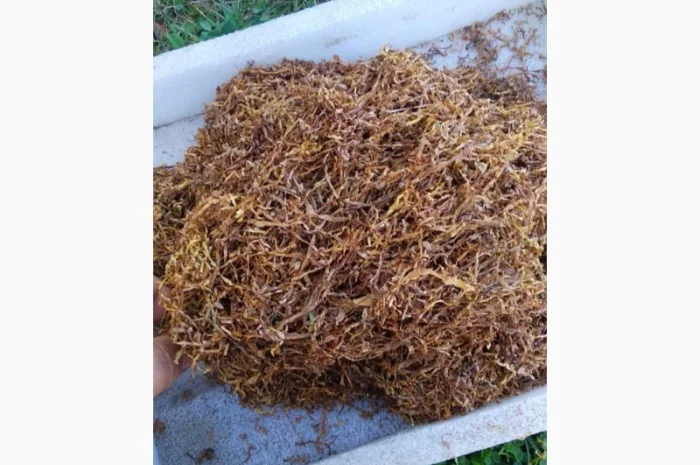 Импортные табаки! /Winston/ KapitanBlek/ Cemell/ Marlboro/ Bond / Вирджиния / Миллениум- фото № 6