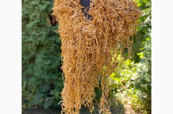 Импортный Табак для сигарет 1 кг! Вирджиния Голд/ Золотое руно/Winston / Kapitan Blek/ Oriental /Marlboro- фото № 1