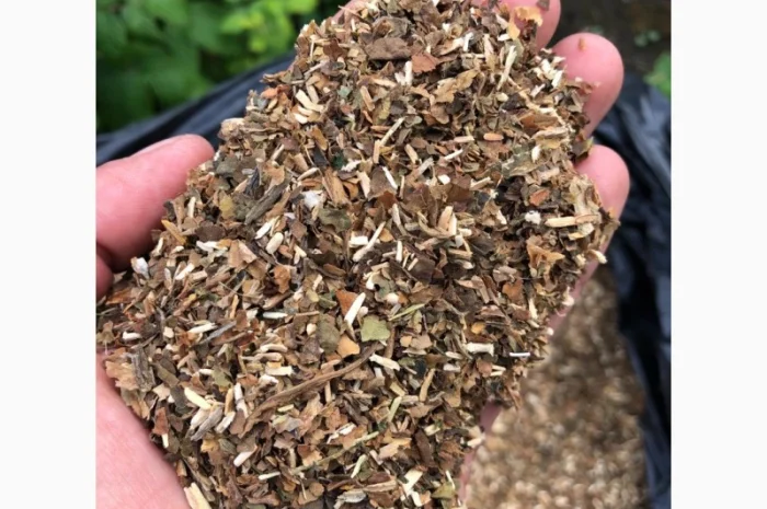 Продам самосад домашній  для самокруток- фото № 2