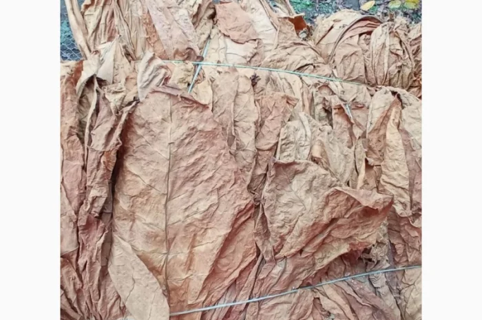 Продам тютюн сорт вірджинія порізка лапша 0.8 мм- фото № 1