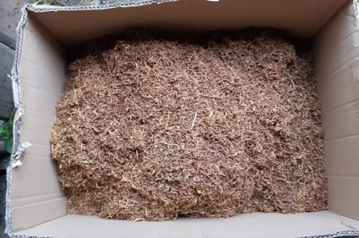 Продам табак тютюн різаний 0.8 мм середня міцність, для трубки- фото № 1