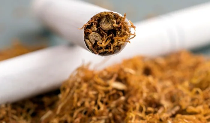 Продам Табак УРОЖАЙ 2022 , для сигарет 1 кг- фото № 1