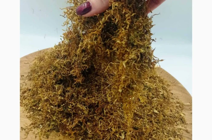 Лучшие сотра Табака только для ВАС! Бонусная программа для каждого клиента- фото № 1