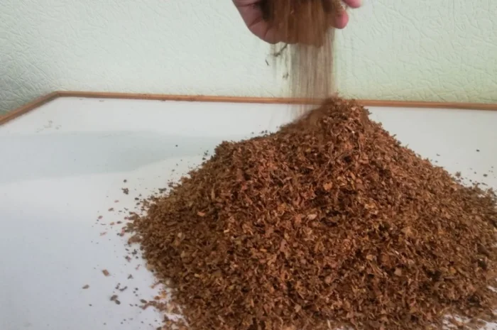 Турецкий Burley для трубки, крепость и качество- фото № 2