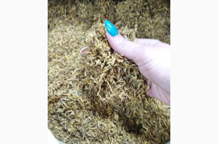 Табак зарубежное качество- фото № 2