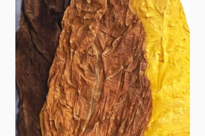 Для истинных гурманов Табак и все для него, для самокруток- фото № 3