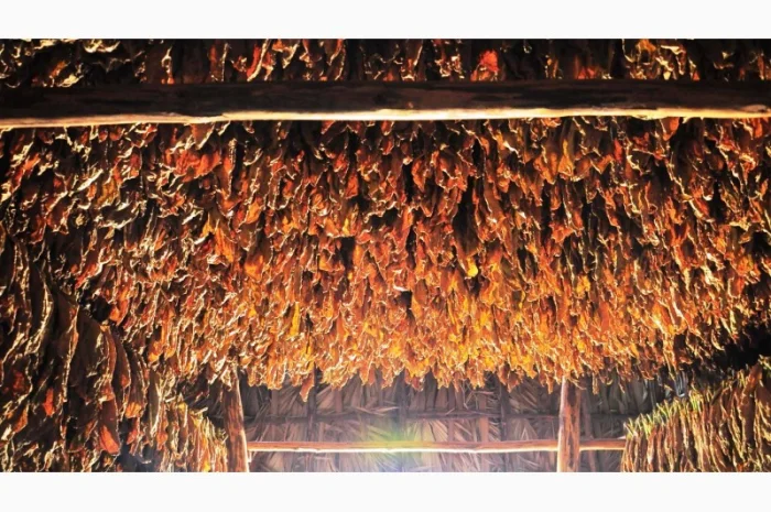 Табак на любой вкус, цвет и крепость, для самокруток- фото № 4