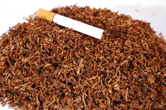 Табак- фото № 2