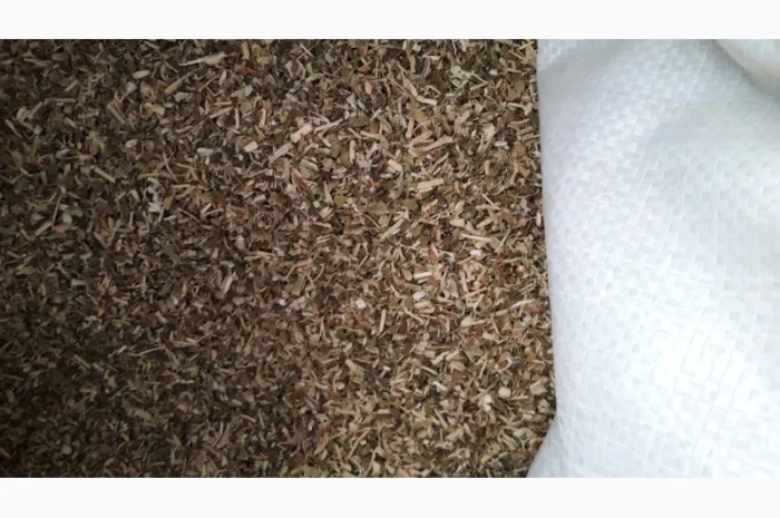 Продам махорку самосад  для самокруток- фото № 2