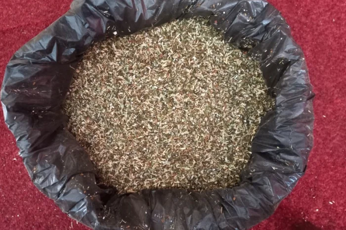 Махора самосад  для самокруток- фото № 1