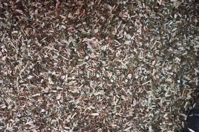 Махора самосад  для самокруток- фото № 2