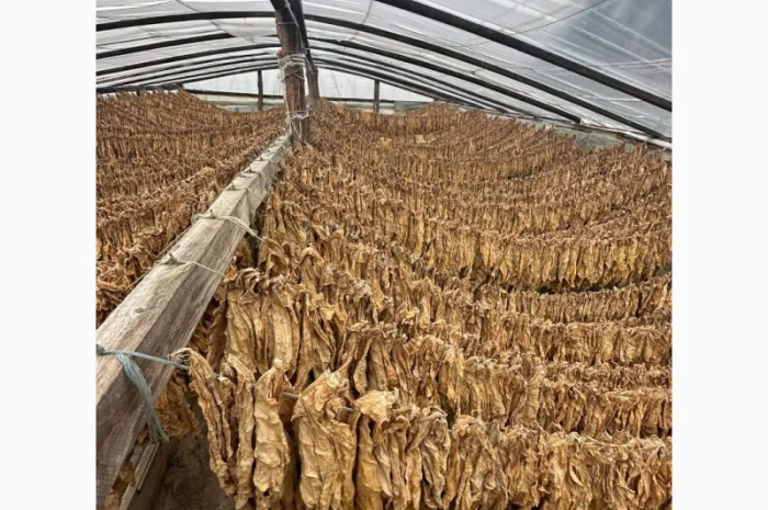 Продам тютюн для трубки , сорт Берлі, Берлей- фото № 2