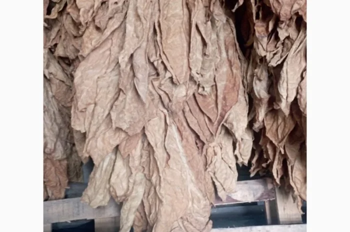 Продам тютюн для трубки , сорт Берлі, Берлей- фото № 3