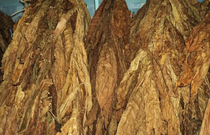 Большой выбор табака сигарет 1 кг  не дорого, с быстрим оформлением заказа- фото № 7