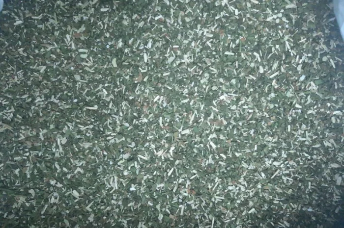 Продам Зелена МАХОРКА Самосад - Вищий Гатунок,  підійде для сигарет 1 кг- фото № 1