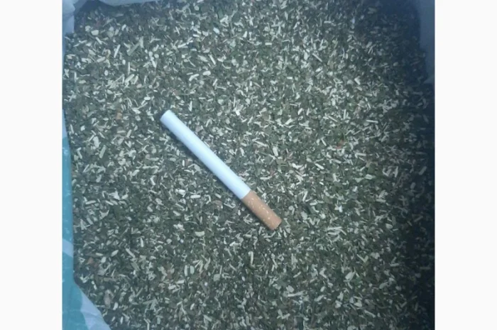 Продам Зелена МАХОРКА Самосад - Вищий Гатунок,  підійде для сигарет 1 кг- фото № 2