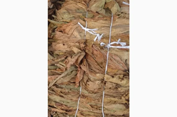 Продам ЗЕЛЕНИЙ Табак Лист, для самокруток- фото № 1