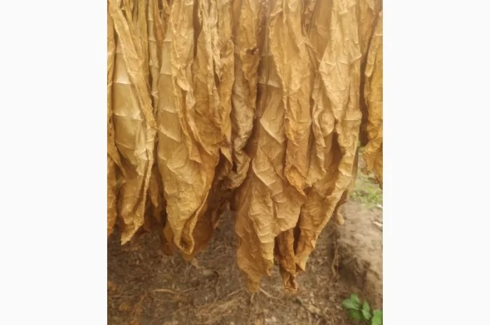 Продам Тютюн , для самокруток- фото № 1