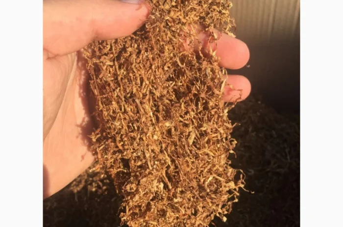 Продам тютюн,  для самокруток . Акція- фото № 1