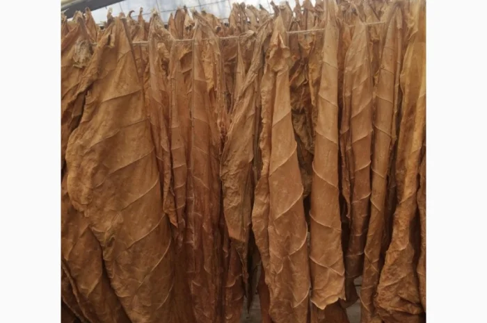 Продам лист тютюну хорошого- фото № 2