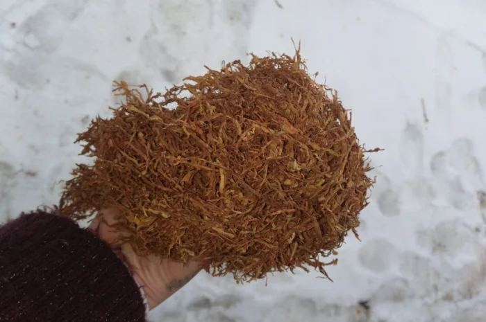 Продам недорого табак , для самокруток- фото № 1