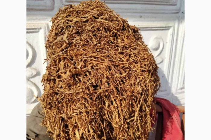 Тютюн Берлі, Вірджинія, Самосад  для сигарет 1 кг- фото № 1