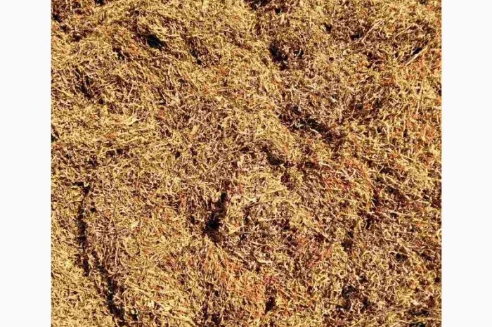 Тютюн Берлі, Вірджинія, Самосад  для сигарет 1 кг- фото № 3