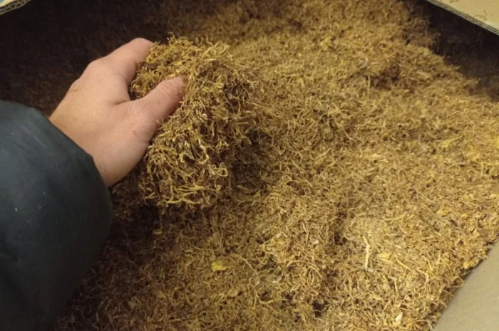 Табак Берли Вирджиния Махорка, для сигарет 1 кг- фото № 3