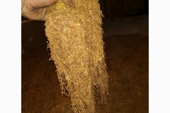 Тютюн дешево, для сигарет 1 кілограм- фото № 4