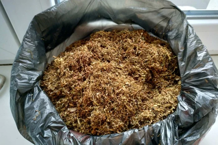 Вкусный табак- фото № 4