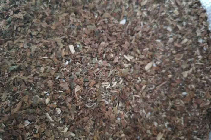 Самосад  для трубки , недорого- фото № 1