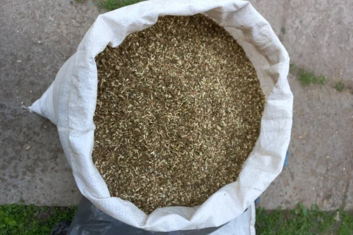 Махорка курітельна для трубки- фото № 3