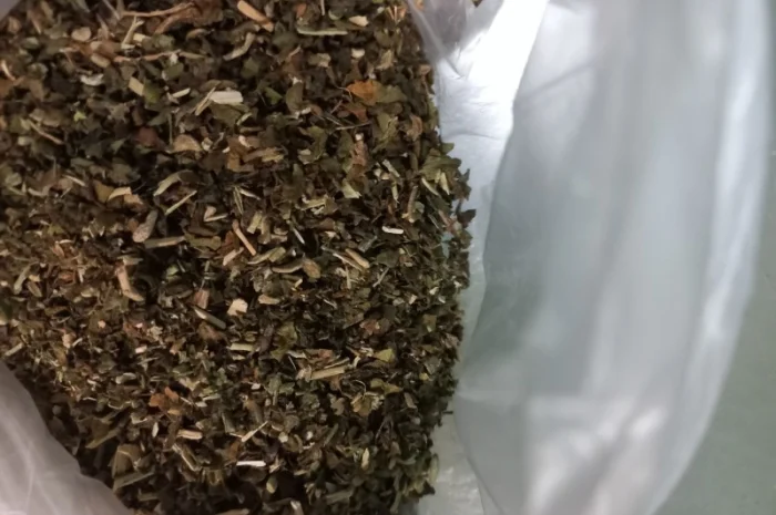 Особисто вирощена Махорка- фото № 4