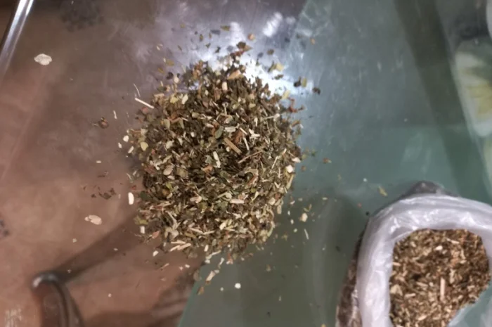 Особисто вирощена Махорка- фото № 6