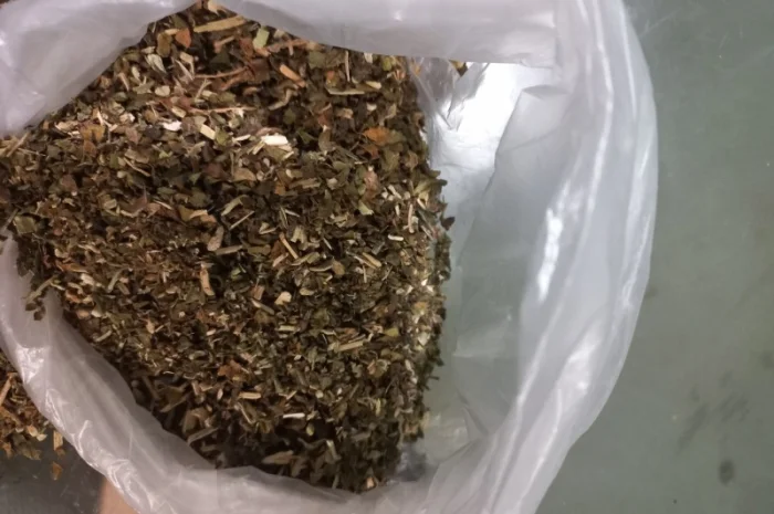 Кріпенька Махорка- фото № 2