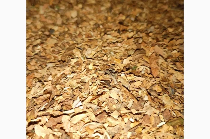 Ведро табака,  для сигарет 1 кг- фото № 4