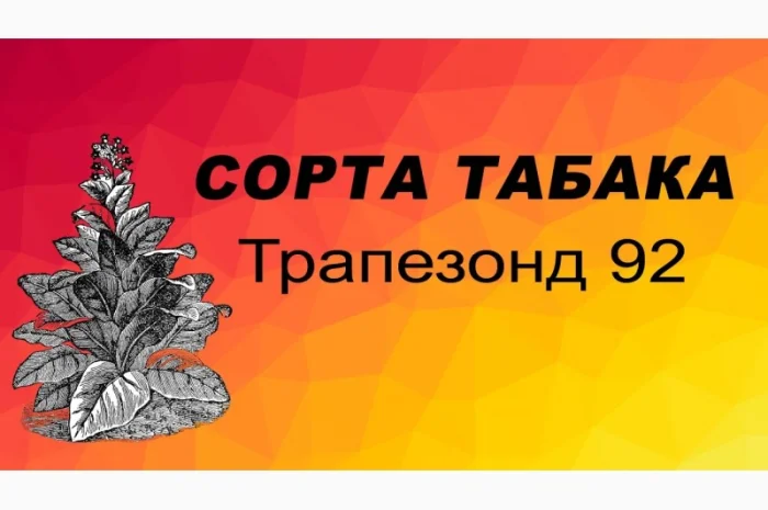 Продам табак Трапезонд 92 - 150 грн/упаковка- фото № 1