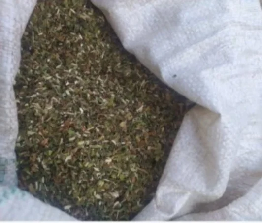 Продам махорку власного вирощування, для сигарет 1 кг- фото № 1