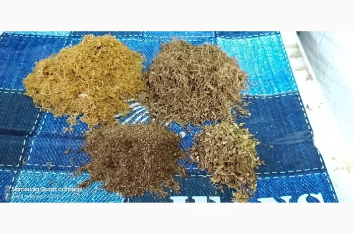 Табак Вирджиния, Берли, Тернополь лапшой , для сигарет 1 кг- фото № 1