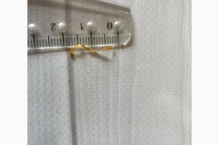 Тютюн Капітан Блек, вишня. CAPTAIN BLACK Черрі, Харківська обл.- фото № 3